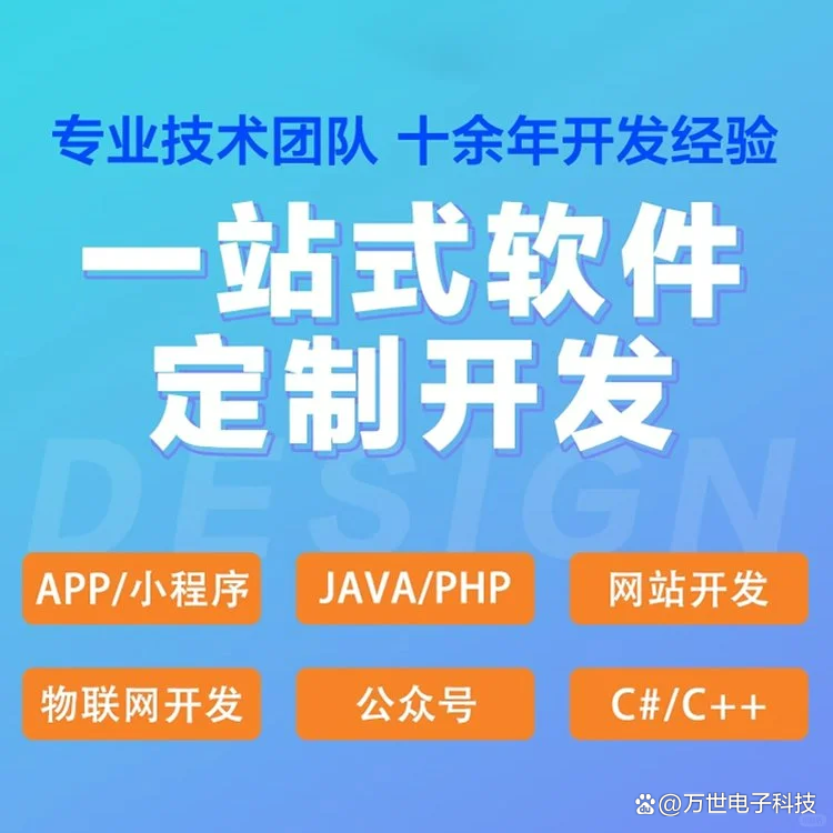 中山软件开发